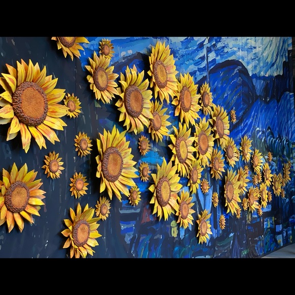 Meet your Posher, Rika - Picture 1 of 1